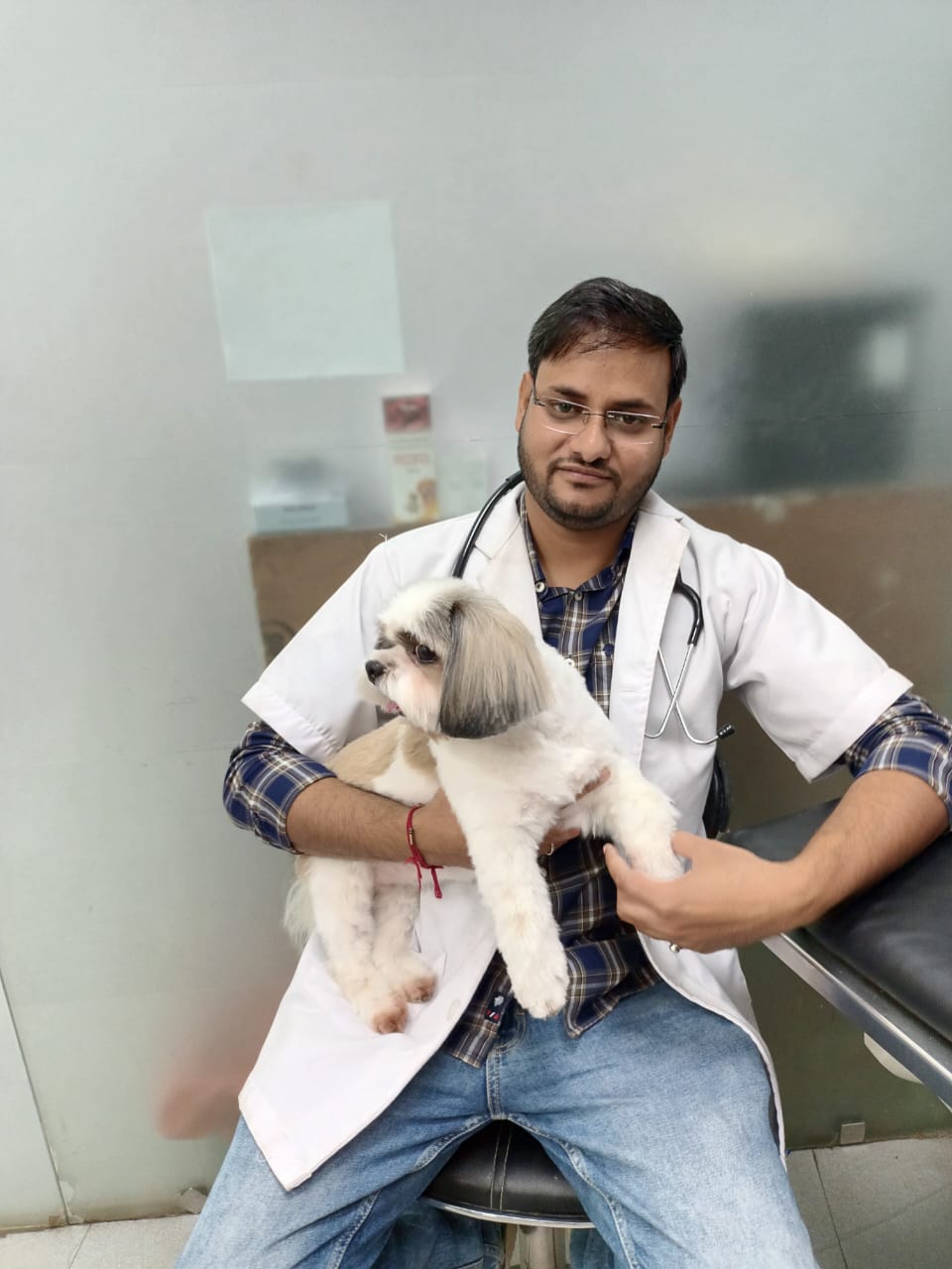 Pet Care